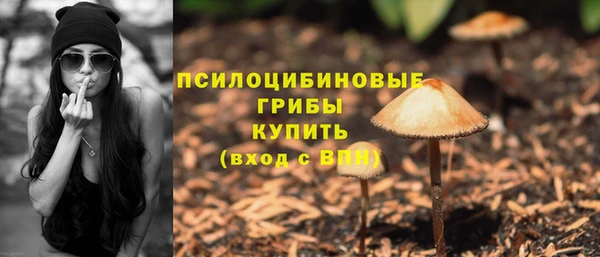 винт Медногорск