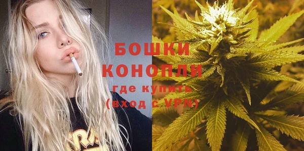 крисы Майский
