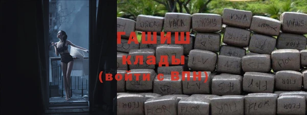шишки Магас