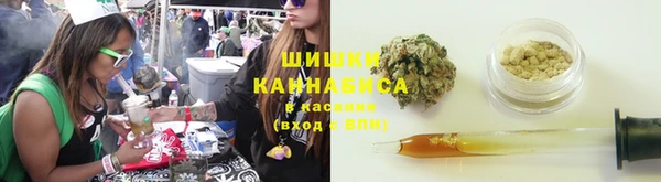 крисы Майский