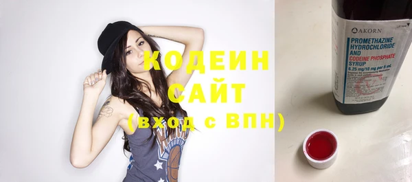 крисы Майский