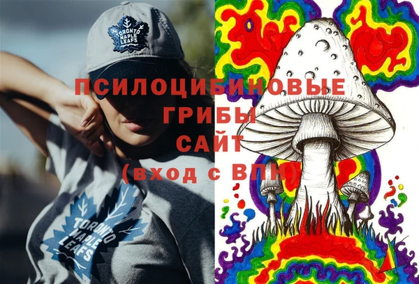 альфа пвп Медвежьегорск