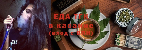 шишки Магас
