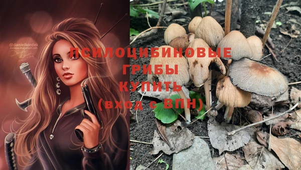 шишки Магас